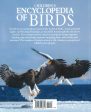 Children s Encyclopedia of Birds For Discount