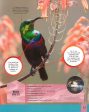 Children s Encyclopedia of Birds For Discount