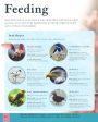 Children s Encyclopedia of Birds For Discount