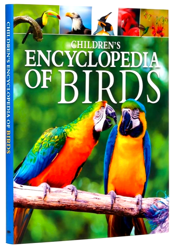 Children s Encyclopedia of Birds For Discount