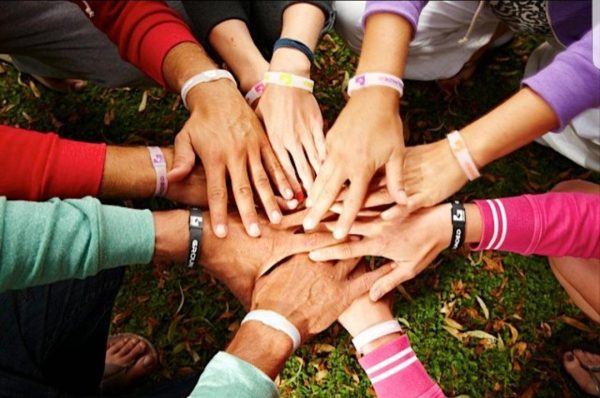 Grounded Energetic Wristband (Translucent Pink) Online Hot Sale