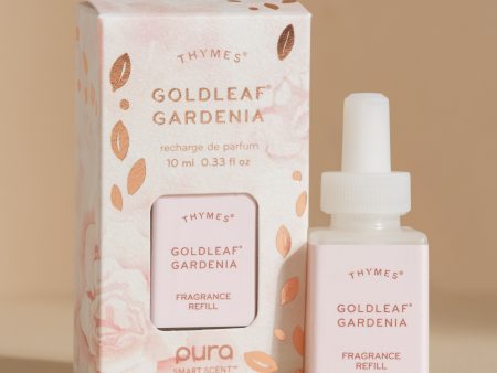 Goldleaf Gardenia﻿ Supply