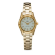 Q&Q Q877J001Y Wrist Watch for Women Fashion