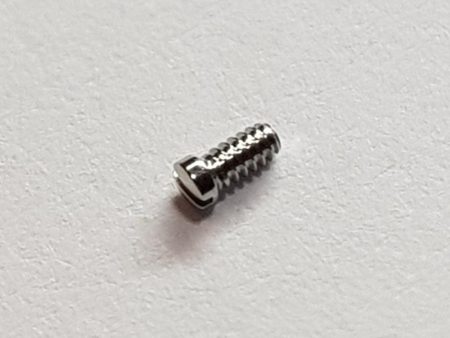 Cartier Panthere 166921 Case Back Screw Online